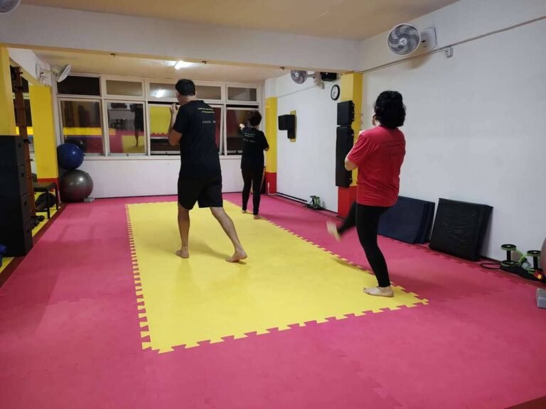 Artes Marciais Boxe Chines Fitness 01